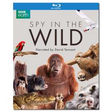 SJ-4607A 荒野间谍/Spy in the Wild 第1季 2007 /BD25×2:约翰 唐纳执导/大卫 田纳特旁白/幕后花絮/附国配/BBC高分纪录片