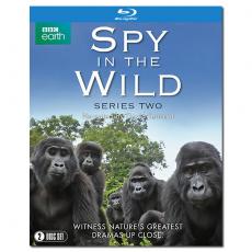 SJ-4608A 荒野间谍/Spy in the Wild 第2季 2020/BD25×2:约翰 唐纳执导/大卫 田纳特旁白/BBC高分纪录片