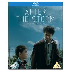 LJ-2510A 是枝裕和:比海更深/比海还深/海よりもまだ深く/After the Storm 2016/BD25:阿部宽/真木阳子/小林聪美/中川雅也/池松壮亮/桥爪功/树木希林/幕后花絮/附国配