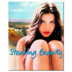 NF-00382 贝纳尔多 贝托鲁奇:偷香/盗美人/Stealing Beauty 1996/BD25:丽芙 泰勒/杰瑞米 艾恩斯/幕后花絮/附国配